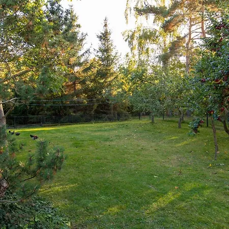 Ferienhaus Samuel Mit Garten Und 2 Terrassen * Lubmin